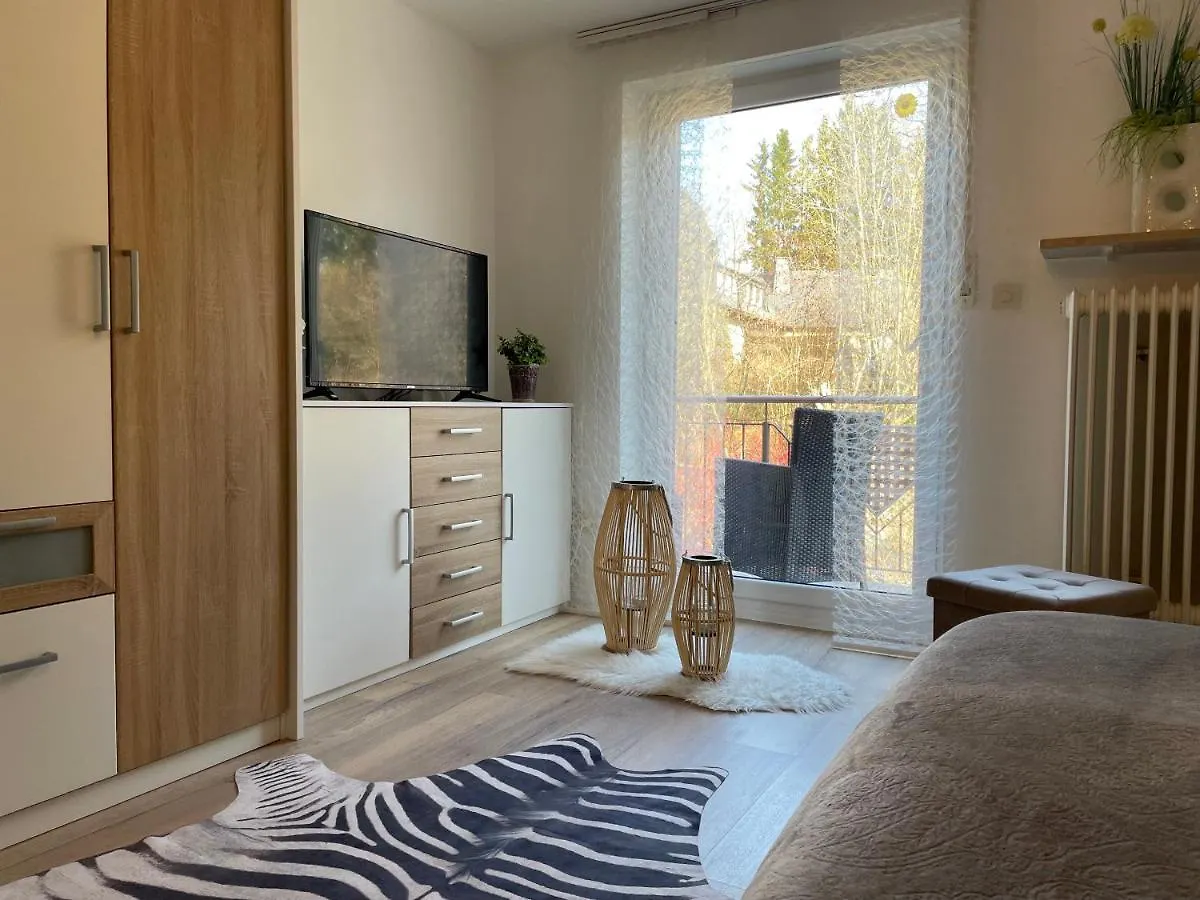Apartment Tolle Ferienwohnung Mit Loggia In Schauenstein 100Qm Bei Hof An Der Saale Frankenwald Germany